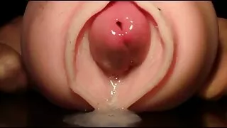 La tête blonde potelée en bas est totalement absorbée par une les vieilles femmes porno bite à la maison
