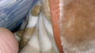 Divine bombasse brune aux gros seins se fait défoncer la chatte sur porno vieille chatte le côté